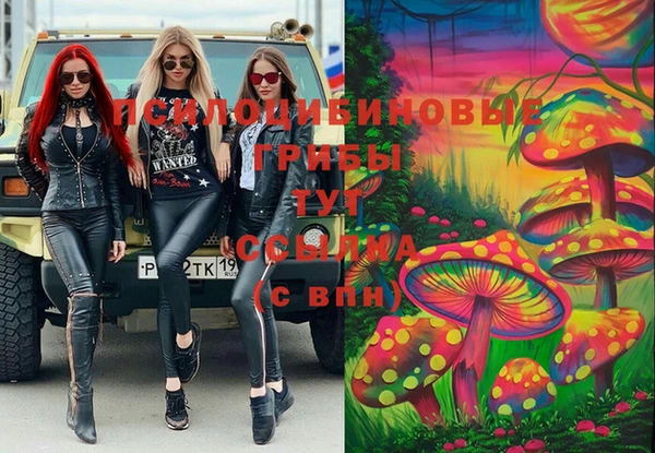 мяу мяу мука Покров