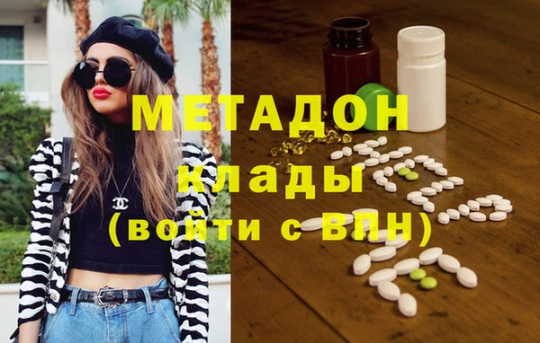 шишки Губаха