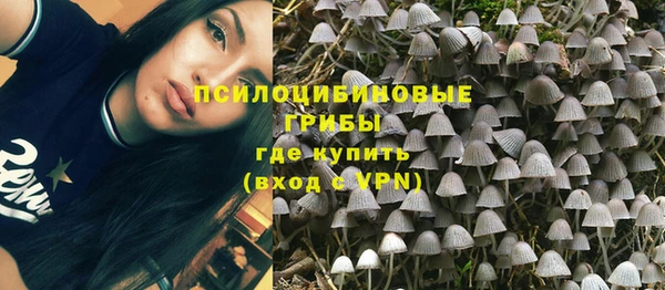 мяу мяу мука Покровск